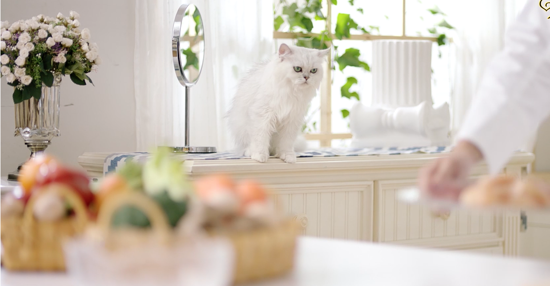 精益求精的企業(yè)宣傳片制作的拍攝技巧(圖1) 企業(yè)宣傳片拍攝制作