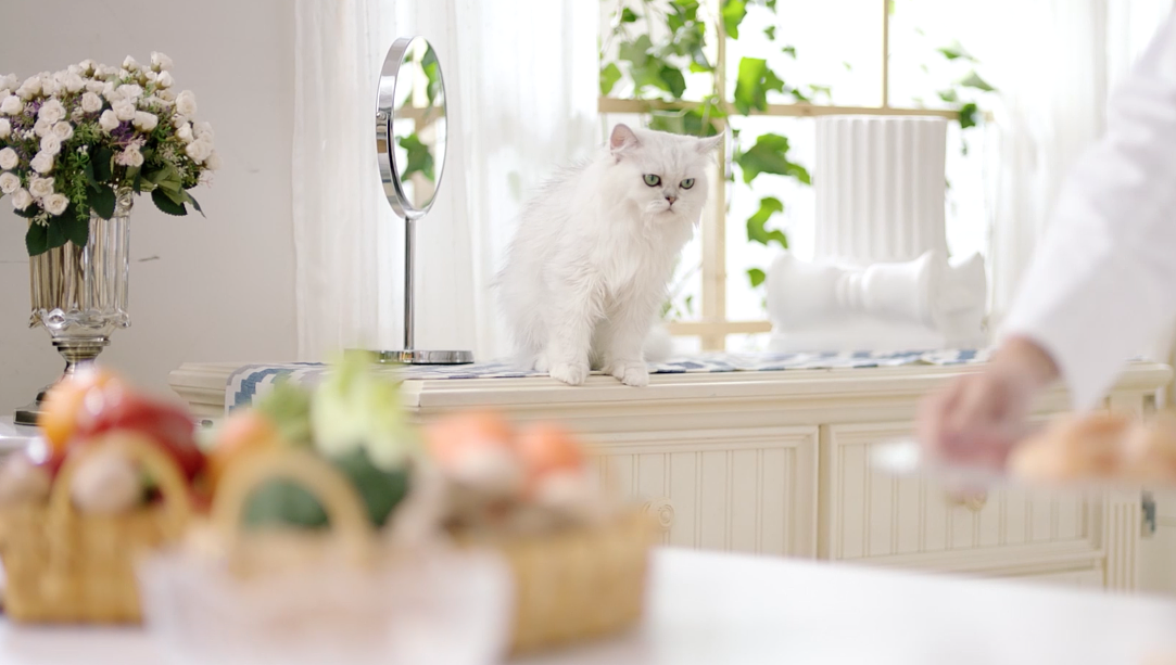 企業(yè)宣傳片制作初剪和精剪為顧客制做出最高品(圖1) 企業(yè)宣傳片制作