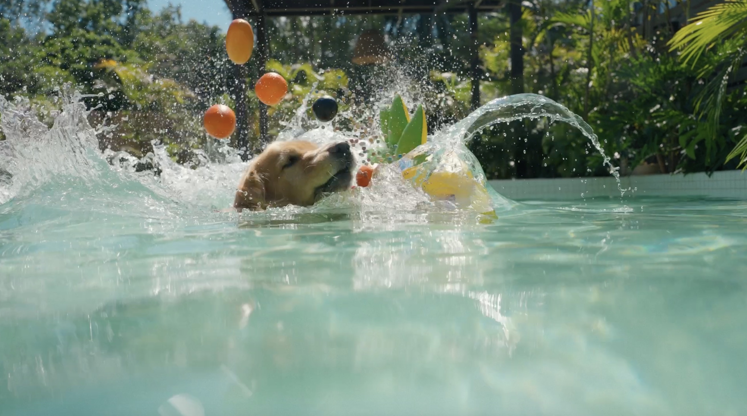 Aiper Scuba S1 pro 泳池機器人產(chǎn)品宣傳片