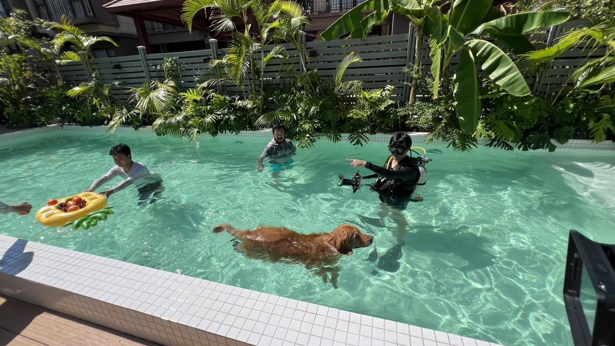 如何通過海外視頻捕捉當(dāng)?shù)鬲毺匚幕c故事(圖1)